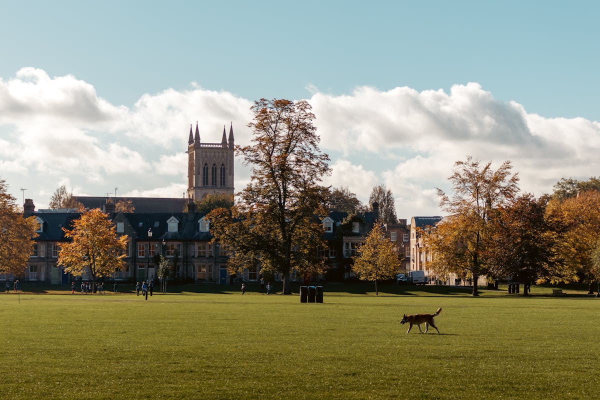 King's College Chapel, Cambridge